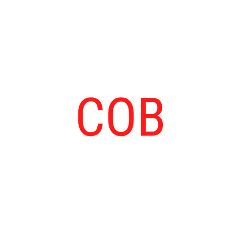 New_Project_-_2025-02-21T141303.313